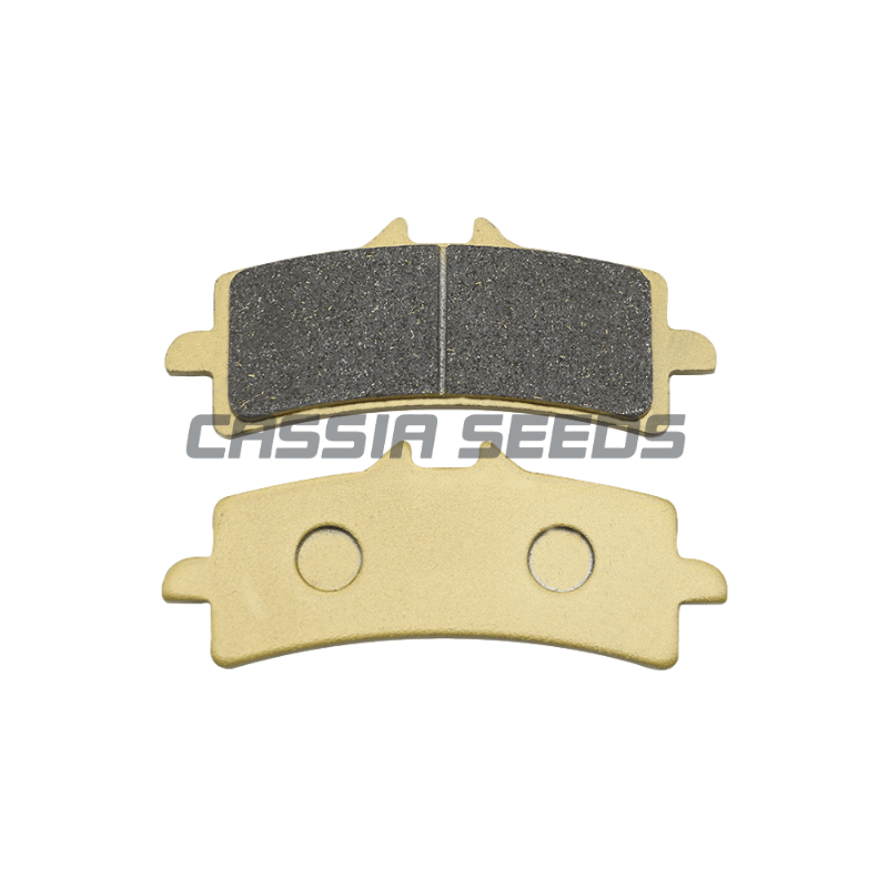 MOTORRAD-Bremsbeläge vorne und – Carbon Ceramic Motorcycle Brake Rotor Bewertung und Preis