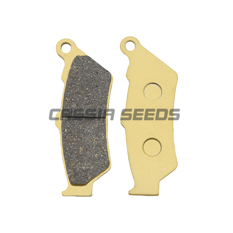 MOTORRAD-Bremsbeläge vorne und – Carbon Ceramic Motorcycle Brake Rotor Bewertung und Preis