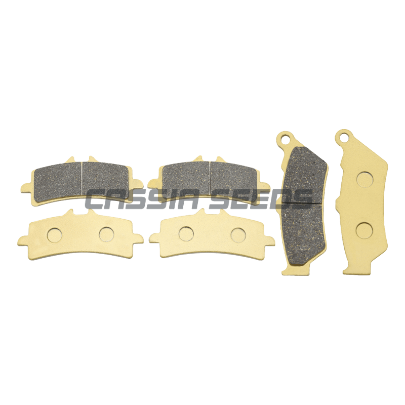 MOTORRAD-Bremsbeläge vorne und – Carbon Ceramic Motorcycle Brake Rotor Bewertung und Preis